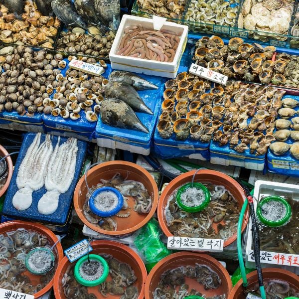 10 Best Traditional Markets In Korea For Food And Shopping 11 Noryangjin Fish Wholesale Market in Seoul