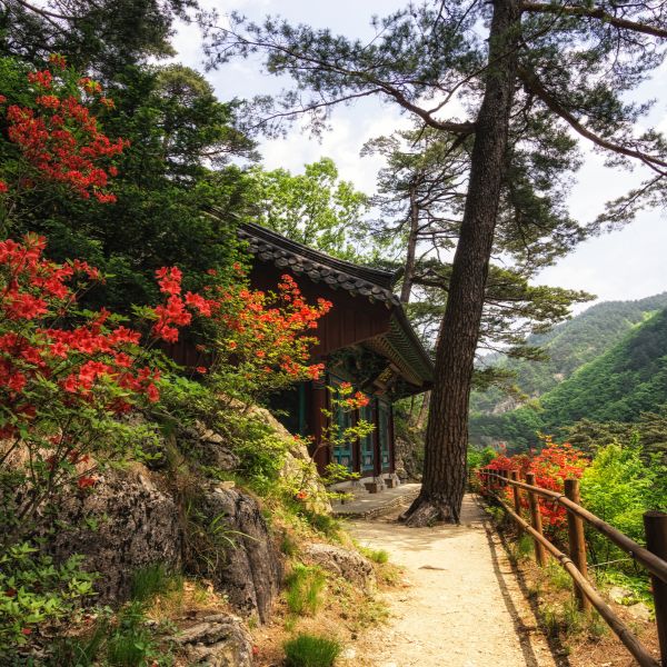 Odaesan National Park in Autumn Korea Odaesan National Park in Autumn Korea
