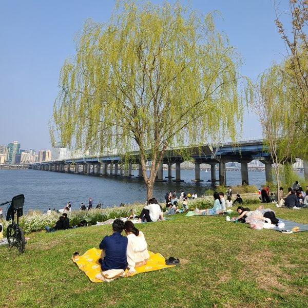 30 Best Free Things To Do In Seoul: Cheap Fun In Seoul 2024 22 People At A Han River Park Seoul