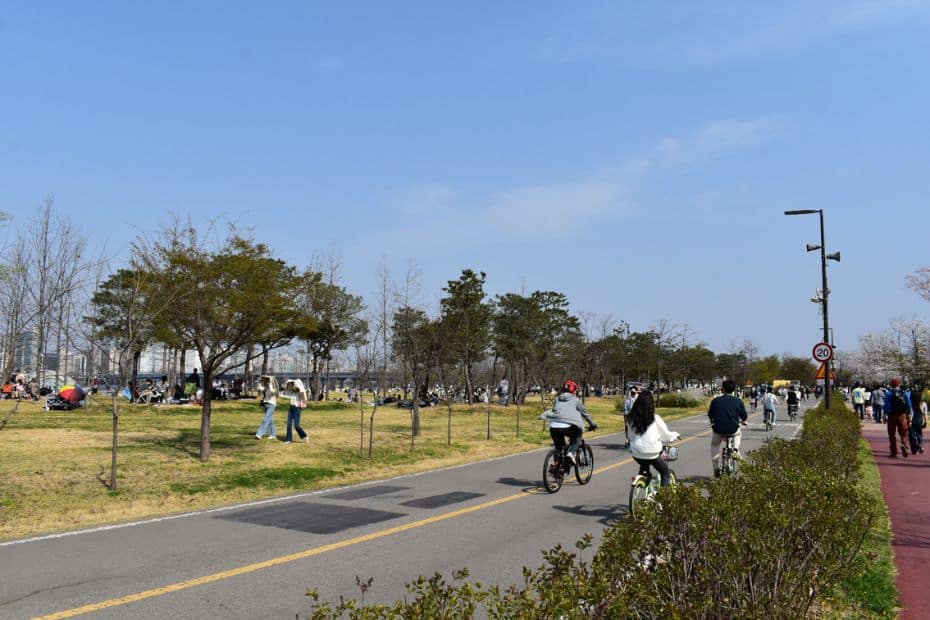 15 Best Places To Go Cycling In Korea: From Coast To Mountains 8 People cycling in Seoul