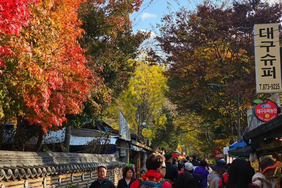 Korea In October 2024: Best Festivals, Events, And Sights 6 People exploring Juwangsan National Park