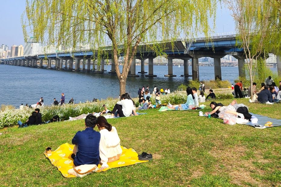20 Cool Summer Activities In Korea: Korean Summer 2024 13 People having a picnic by a river in Seoul