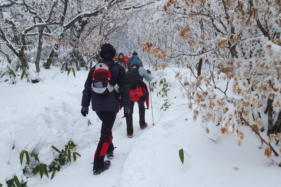 15 Best Places To Go Cycling In Korea: From Coast To Mountains 25 People hiking through snow in Korean winter
