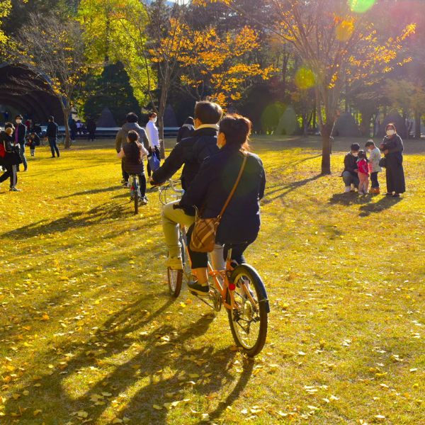 People riding a bike on Nami Island Korea People riding a bike on Nami Island Korea