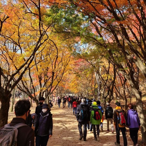 People trekking and hiking in Korea People trekking and hiking in Korea