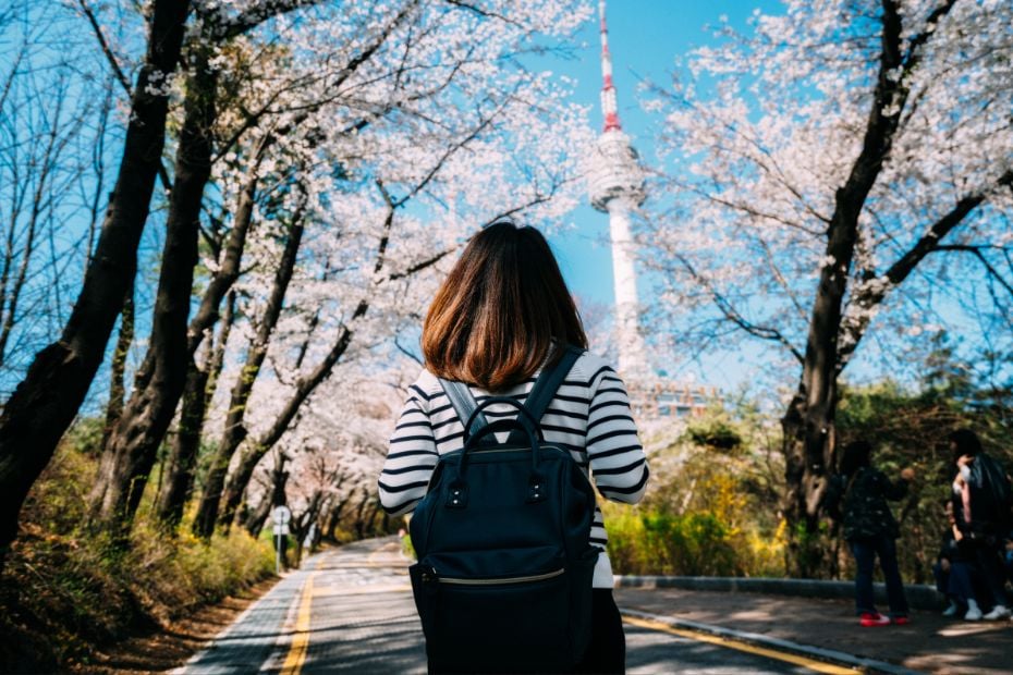 30 Best Free Things To Do In Seoul: Cheap Fun In Seoul 2024 4 Person enjoying free sights in Seoul