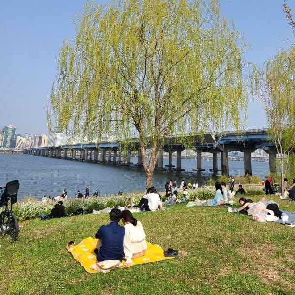 Where To Stay In Seoul 2024: District Guide For Tourists 81 Picnic by the Han River in Yeouido