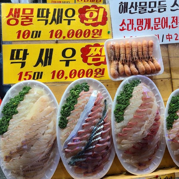 10 Best Traditional Markets In Korea For Food And Shopping 22 Raw fish at Seogwipo Maeil Olle Market