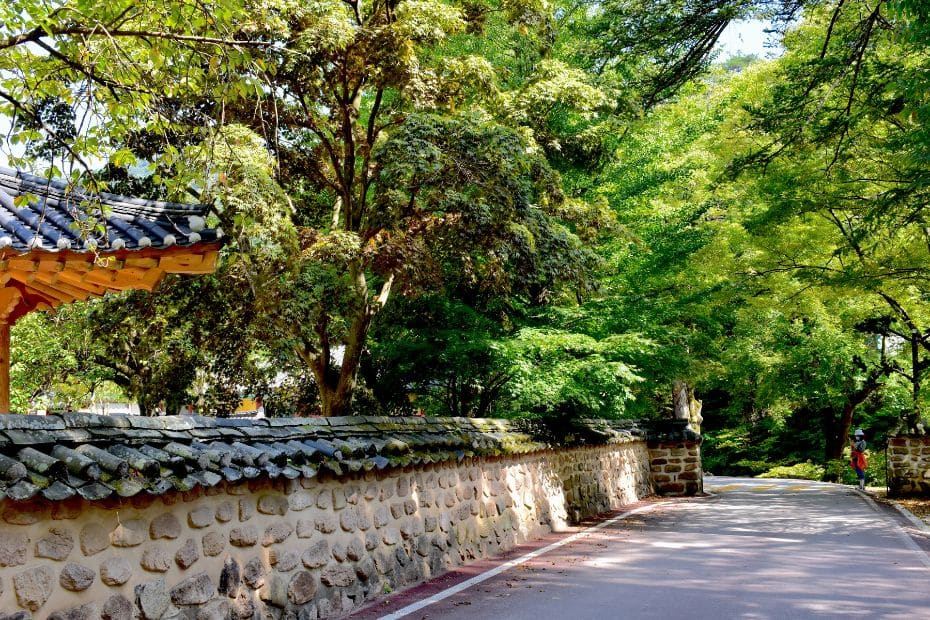 15 Best Places To Go Cycling In Korea: From Coast To Mountains 19 Road leading to Beopjusa Temple in Songnisan National Park