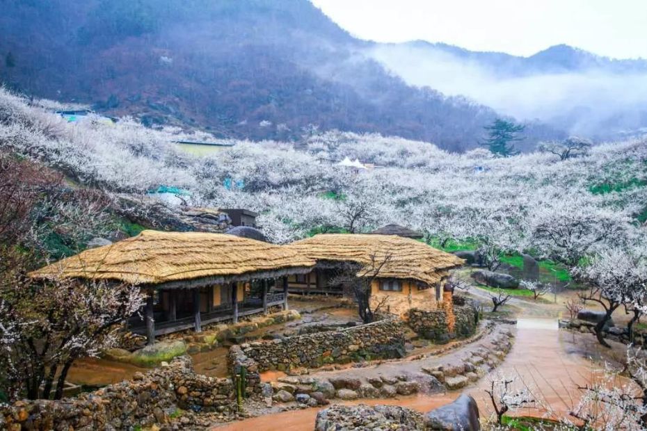 Move to Korea To Teach English: 8 Tips To Help You Settle Into Korea 8 Rural Korean Scene