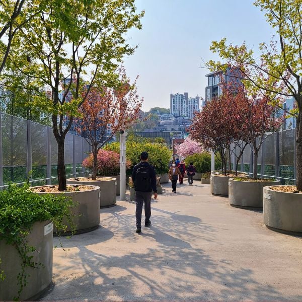 30 Best Free Things To Do In Seoul: Cheap Fun In Seoul 2024 23 Seollo 7017 walkway in Seoul