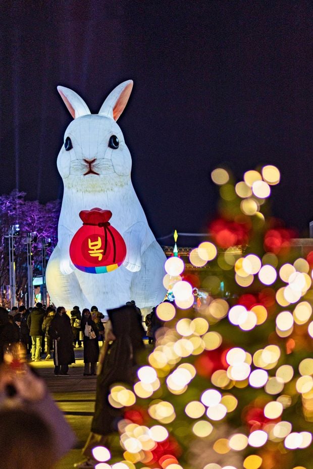The Best Winter Festivals In Korea You Must Visit In 2024 13 Seoul Lantern Festival in Korea