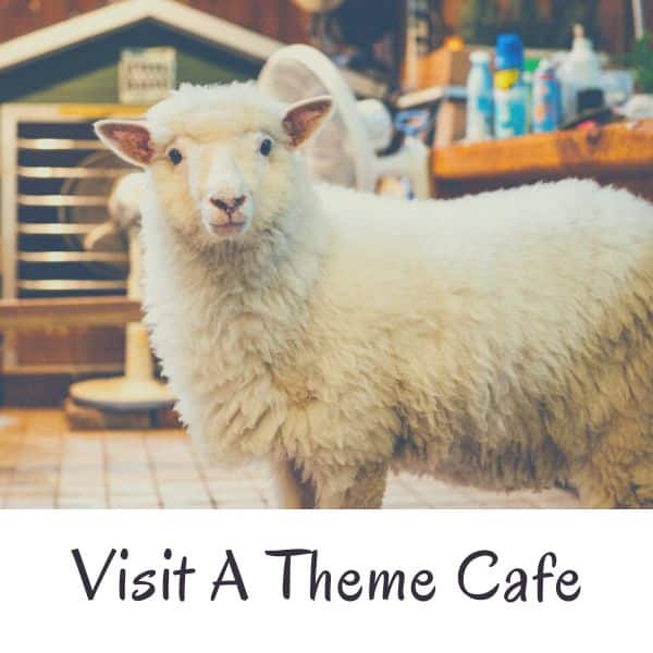 Complete South Korea Travel Guide 2024: Korean Travel Tips 97 Sheep Cafe in Seoul Korea