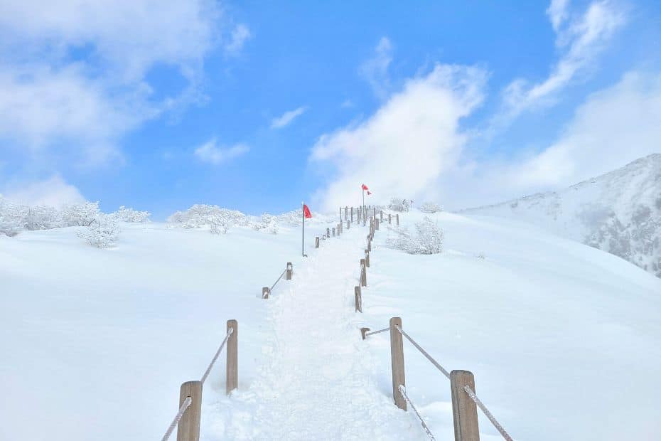 What To Do On Jeju Island In Winter: Jeju Winter Itinerary 2024 10 Snow on top of Hallasan Mountain