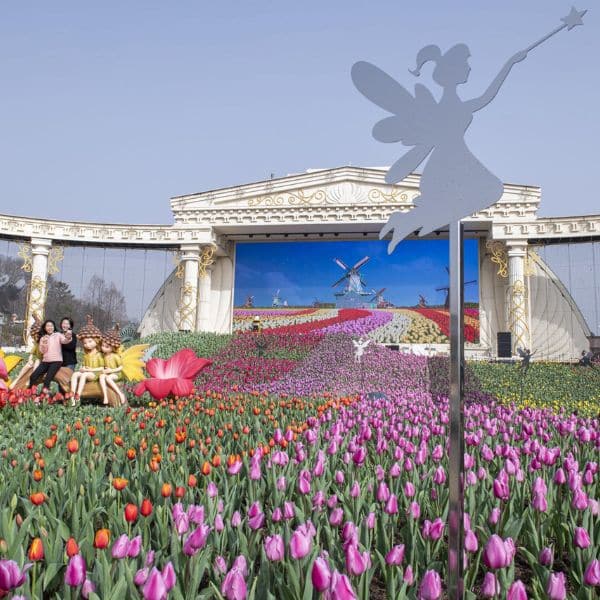 Best Korean Spring Festivals 2024: Nature, Culture, Blossoms 22 The Everland Tulip Festival in Korea