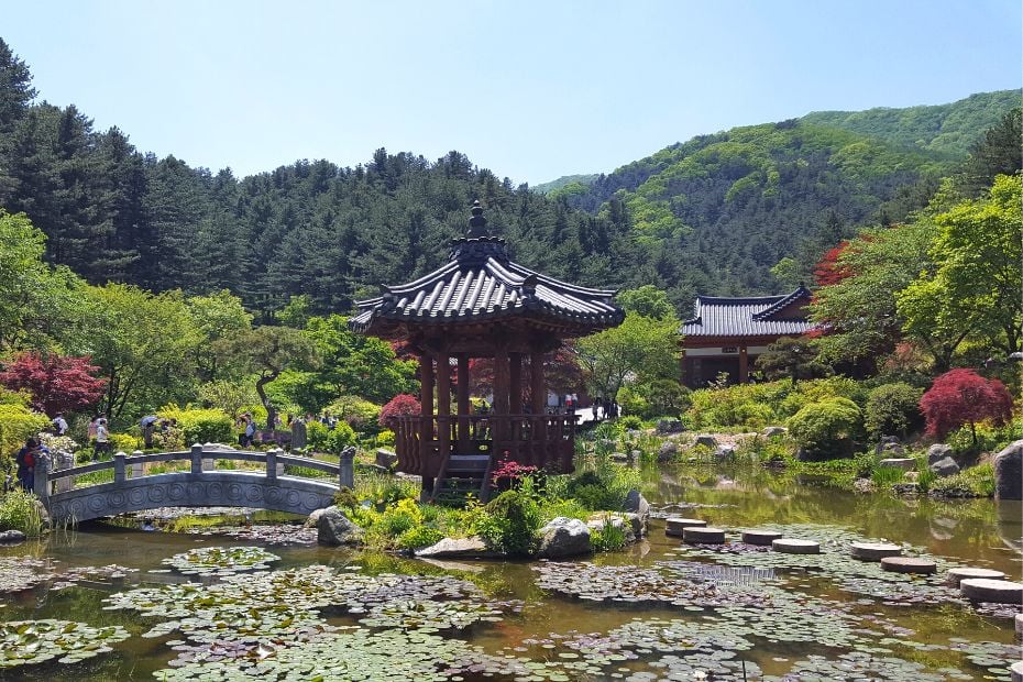 How To Get From Seoul To Nami Island By Car, Train, Tour 2024 33 The Garden of Morning Calm In Korea