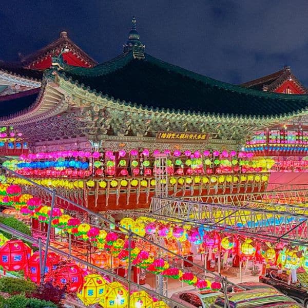 Best Korean Spring Festivals 2024: Nature, Culture, Blossoms 34 The Samgwangsa Lotus Lantern Festival in Busan Korea