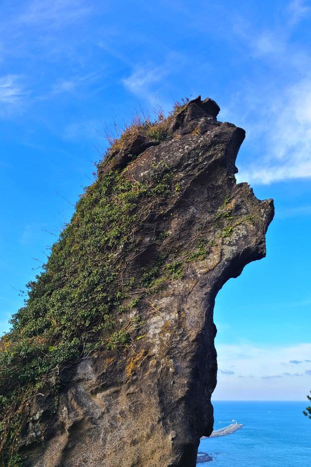 What To Do On Jeju Island In Winter: Jeju Winter Itinerary 2024 12 Unique Rock On Seongsan Ilchulbong Jeju Island