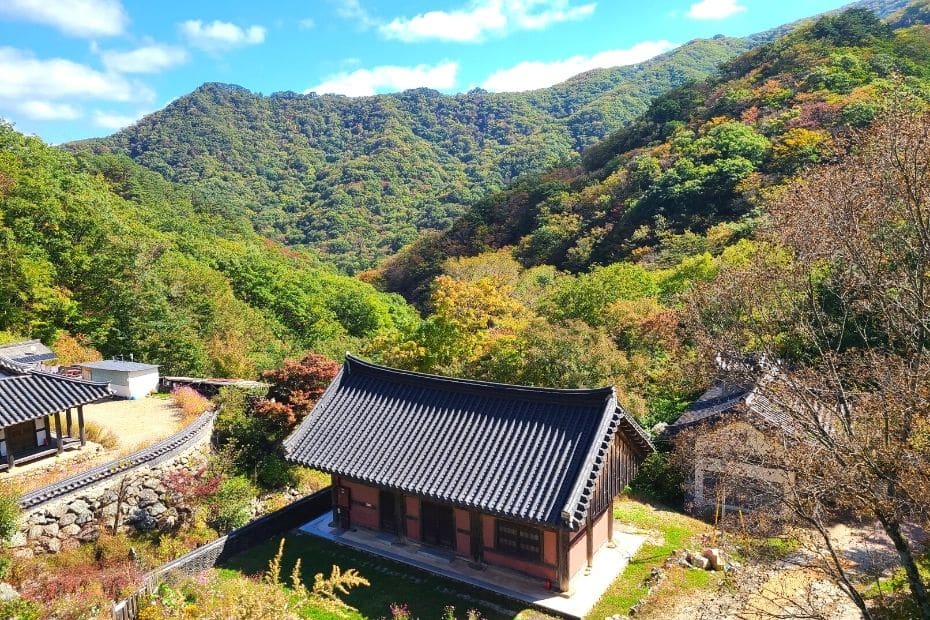 When To Go Hiking In Korea: Seasonal Hiking Guide 2024 4 Untitled design 2021 04 04T133005.322