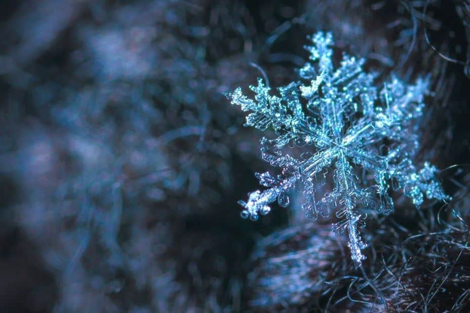 How To Survive Summer In Seoul 2024: 10 Tips To Stay Cool 6 Frosty icicle