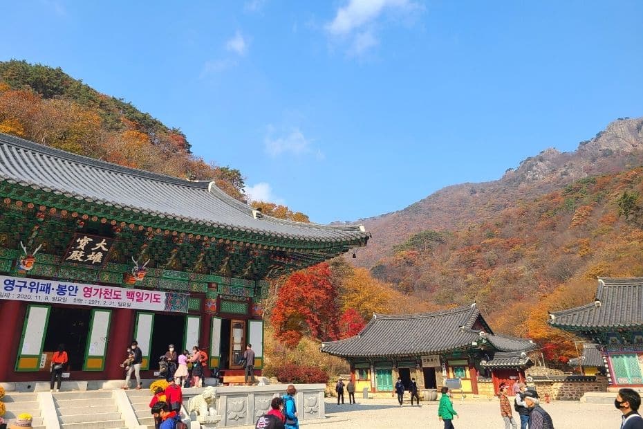 How To Go To Naejangsan National Park For Fall Foliage 2024 11 Naejongsa Temple in autumn at Naejangsan National Park