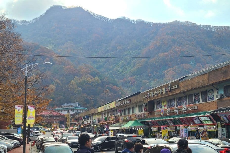 How To Go To Naejangsan National Park For Fall Foliage 2024 5 Cars parked at Naejangsan National Park entrance