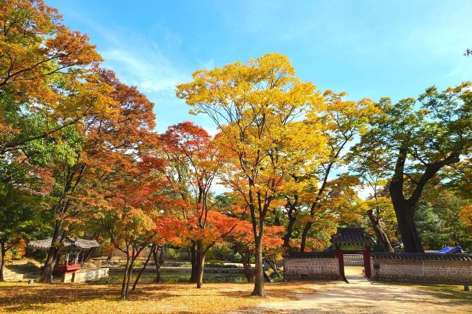 Autumn Leaves In Korea 2024: Best Korean Autumn Foliage Spots 10 Autumn leaves at the Secret Garden in Changdeokgung Palace