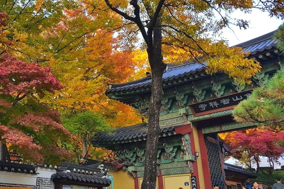 Beautiful Korean Autumn Leaves Pictures: Best Foliage 2024 16 Gilsangsa Temple, Seoul