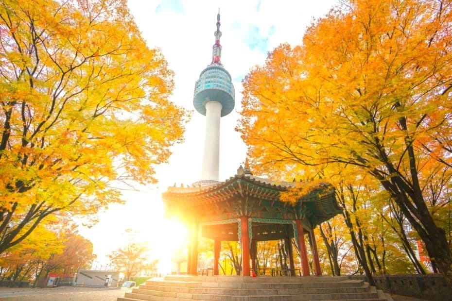 Beautiful Korean Autumn Leaves Pictures: Best Foliage 2024 15 N Seoul Tower, Seoul