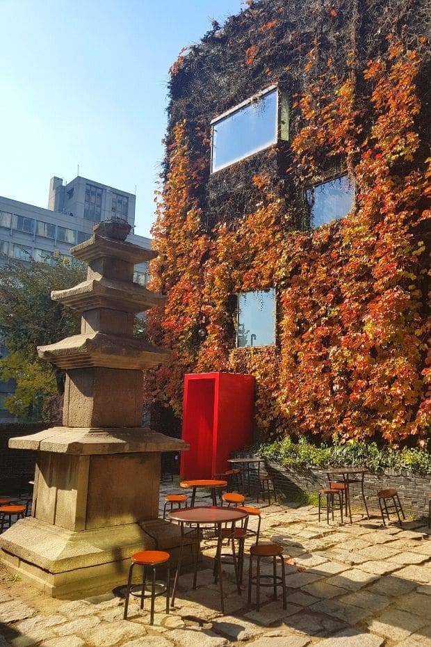 Beautiful Korean Autumn Leaves Pictures: Best Foliage 2024 17 Fritz Coffee next to Changdeokgung Palace, Seoul