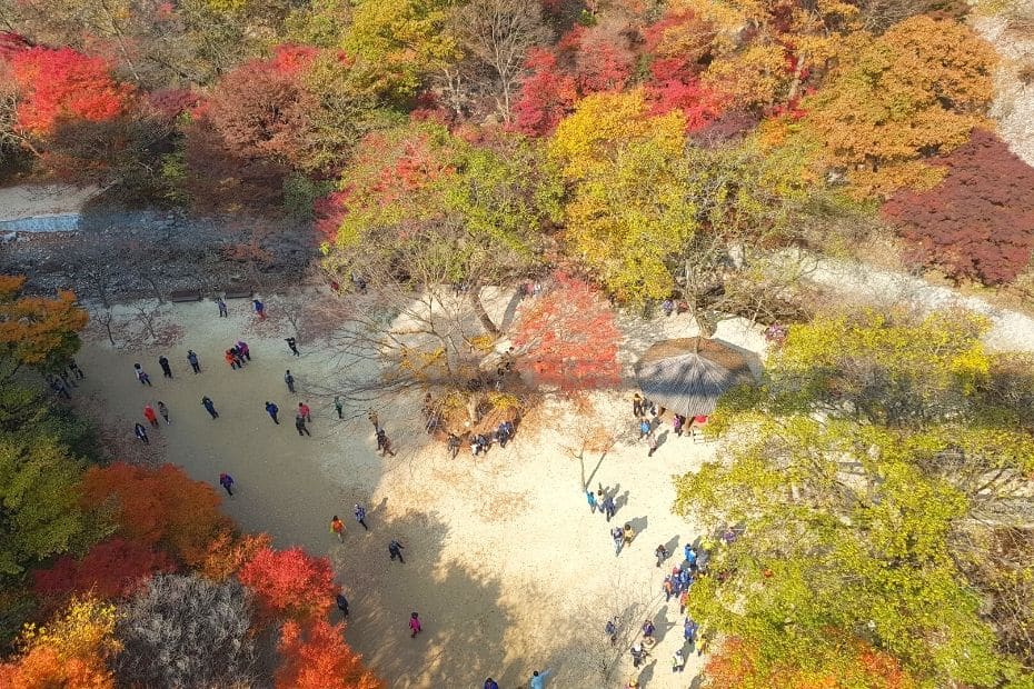 Beautiful Korean Autumn Leaves Pictures: Best Foliage 2024 32 View of the valley from the suspension bridge at Gangcheonsan Mountain, Sunchang