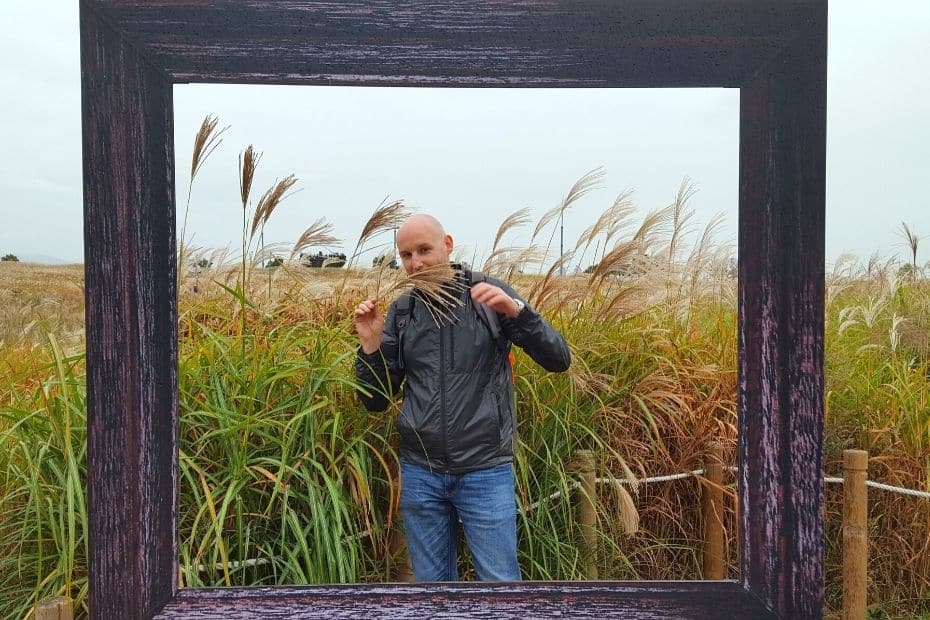 Beautiful Korean Autumn Leaves Pictures: Best Foliage 2024 40 Picture frame and reeds at Haneul Park, Seoul