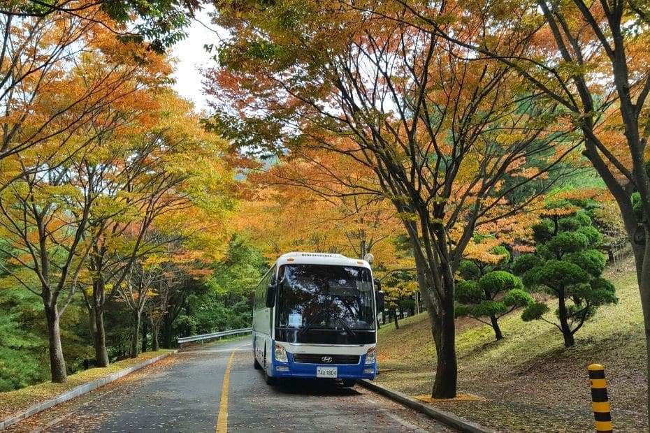 10 Things To Do In Buyeo 2024: UNESCO World Heritage City 39 Tour Bus In Korea