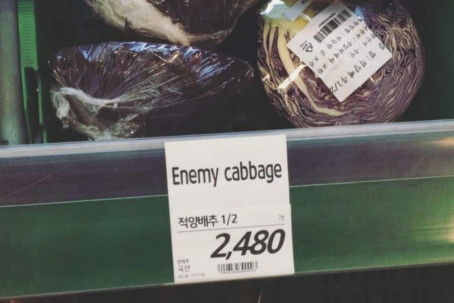 70 Funny Korean Signs, Images, And Konglish Fails 2024 54 Enemy cabbage funny sign