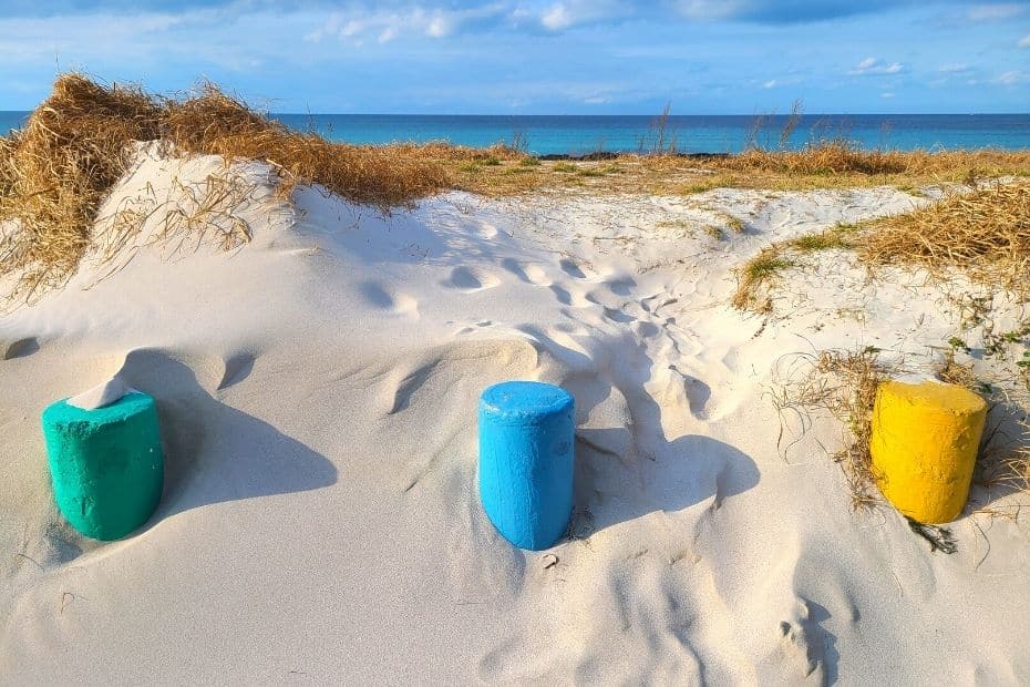 How To Hike Hallasan In Winter: Jeju Island Snow Hiking 2024 23 Sandy beach seen during 1 week on Jeju Island in winter