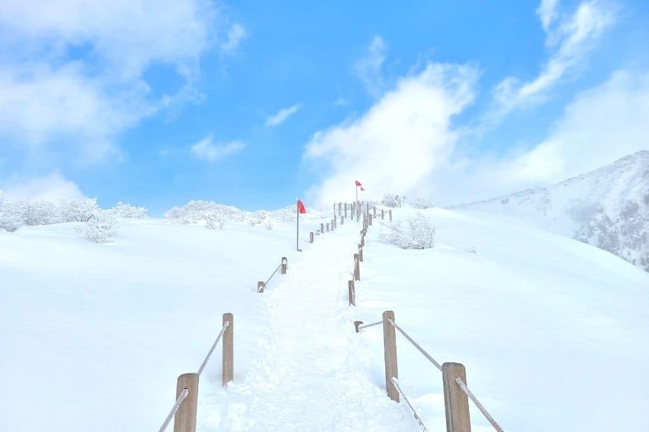 Where Does It Snow In Korea? Snow In Seoul And Korea 2024 35 Snowy Slopes of Hallasan, which you can see during 1 week on Jeju Island in winter