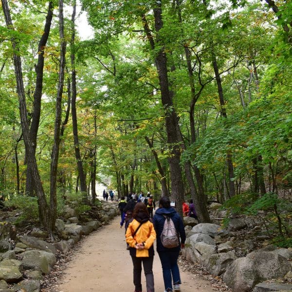 Valley Path At Seoraksan National Park Valley Path At Seoraksan National Park