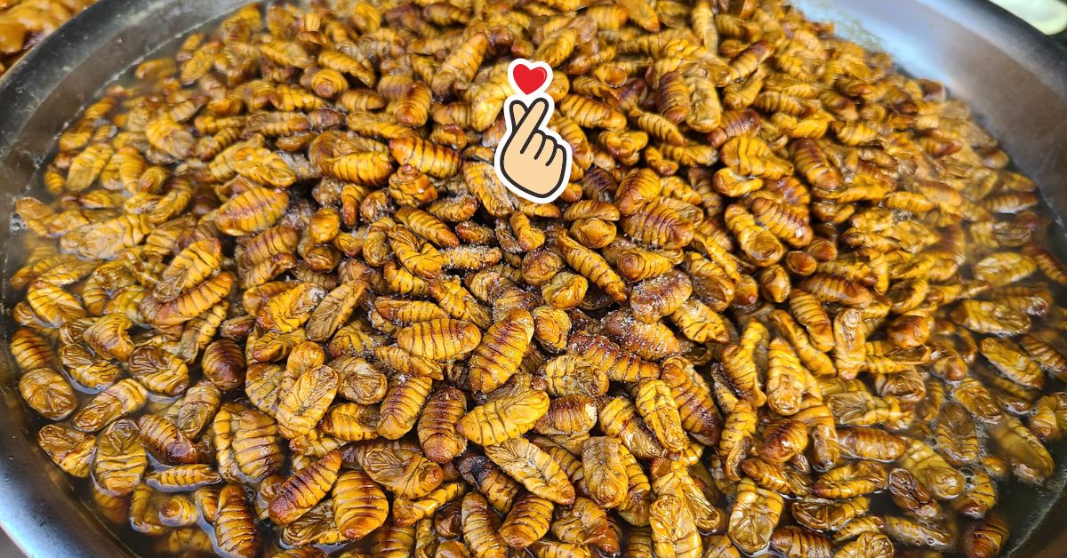 Weird Korean foods that you'll love or hate cover