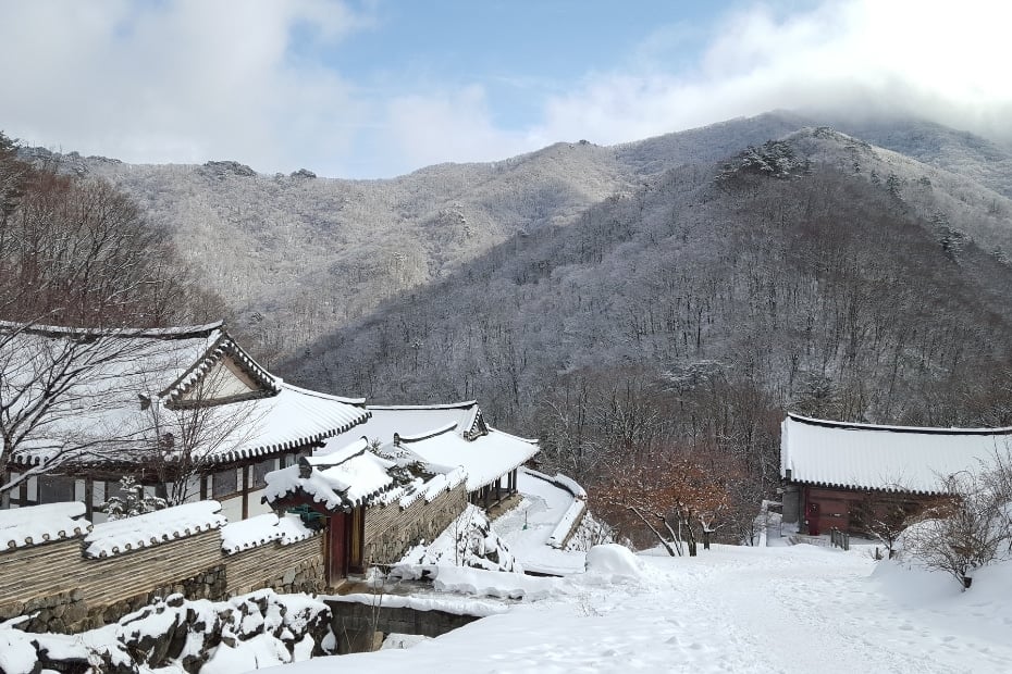 A Guide To Winter In Korea 2024: 20+ Best Winter Activities 18 Winter hiking in Korea at Deogyusan Mountain