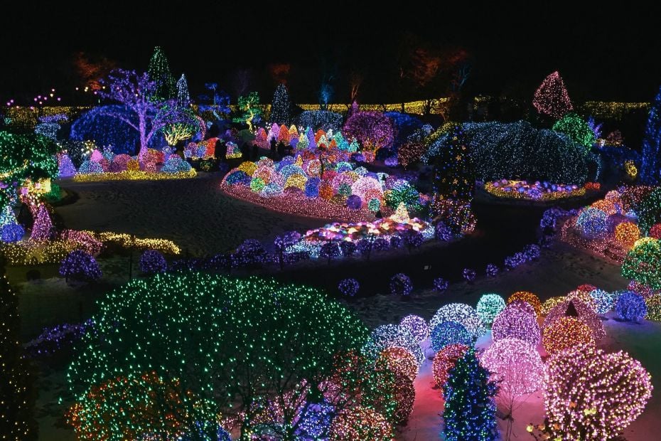 The Best Winter Festivals In Korea You Must Visit In 2024 11 Winter illumination festival in Korea