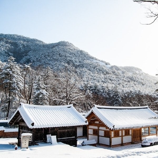 Complete South Korea Travel Guide 2024: Korean Travel Tips 17 Winter In Korea Snowy Temples