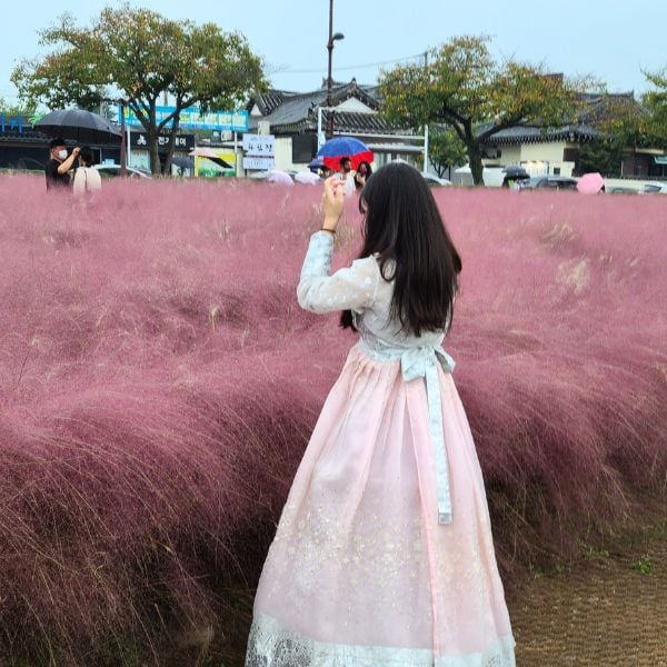 Woman in front of pink muhly Woman in front of pink muhly