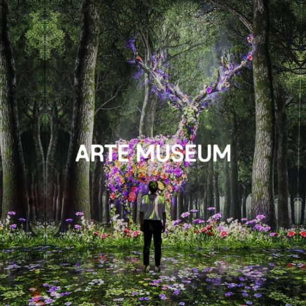 25 Best Day Trips From Seoul: Tours From Seoul To Try In 2024 20 ARTE Museum in Gangneung
