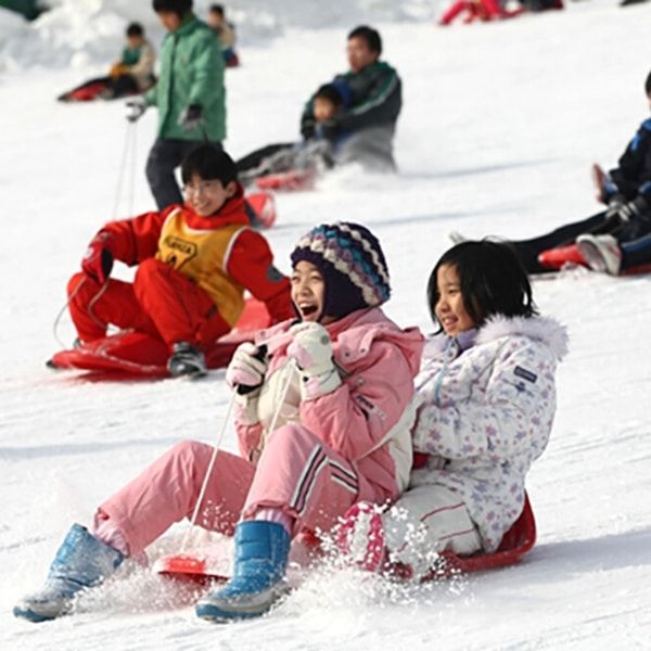 Children sledding in Seoul Korea Children sledding in Seoul Korea