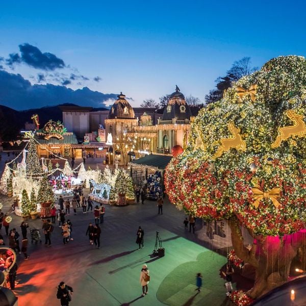 50 Unique Korean Experiences In Korea You'll Definitely Love 34 Everland Theme Park In Korea
