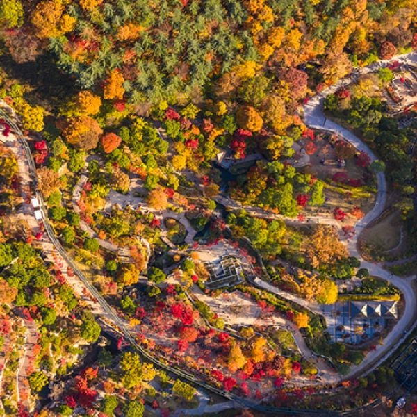 25 Best Day Trips From Seoul: Tours From Seoul To Try In 2024 26 Hwadam Botanic Garden in Autumn Korea