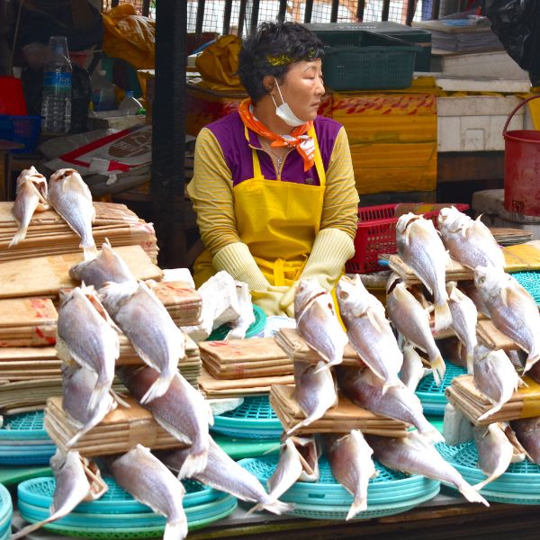 10 Best Traditional Markets In Korea For Food And Shopping 17 Jagalchi Fish Market in Busan