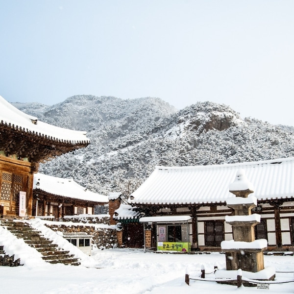 Korean buddhist temple covered in snow Korean buddhist temple covered in snow