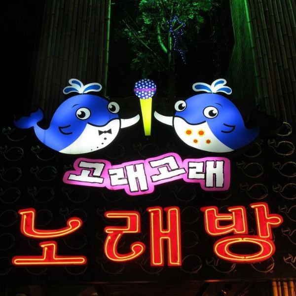 50 Unique Korean Experiences In Korea You'll Definitely Love 22 Noraebang Korean Singing Room Busan