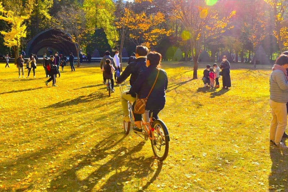 How To Get From Seoul To Nami Island By Car, Train, Tour 2024 14 People riding a bike on Nami Island